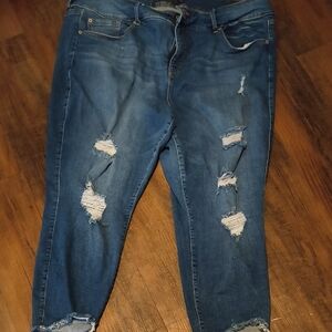 Distressed Blue Jeans torrid